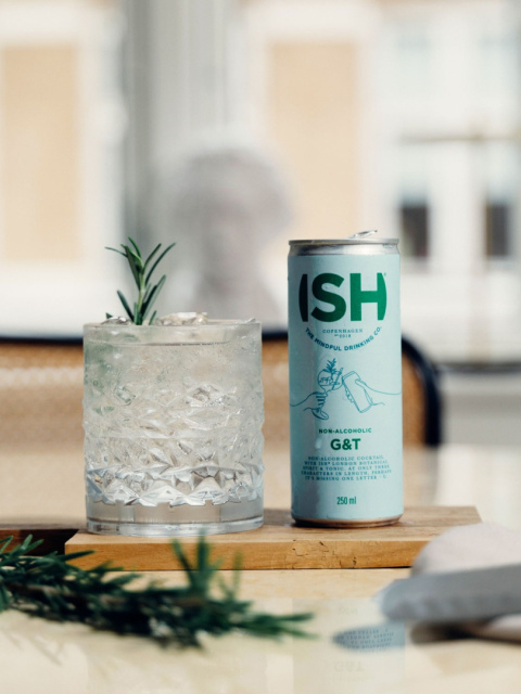 bezalkoholowy gin z tonikiem bezalkoholowy gin z tonikiem